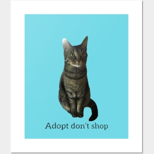 Adopt Don’t Shop Posters and Art